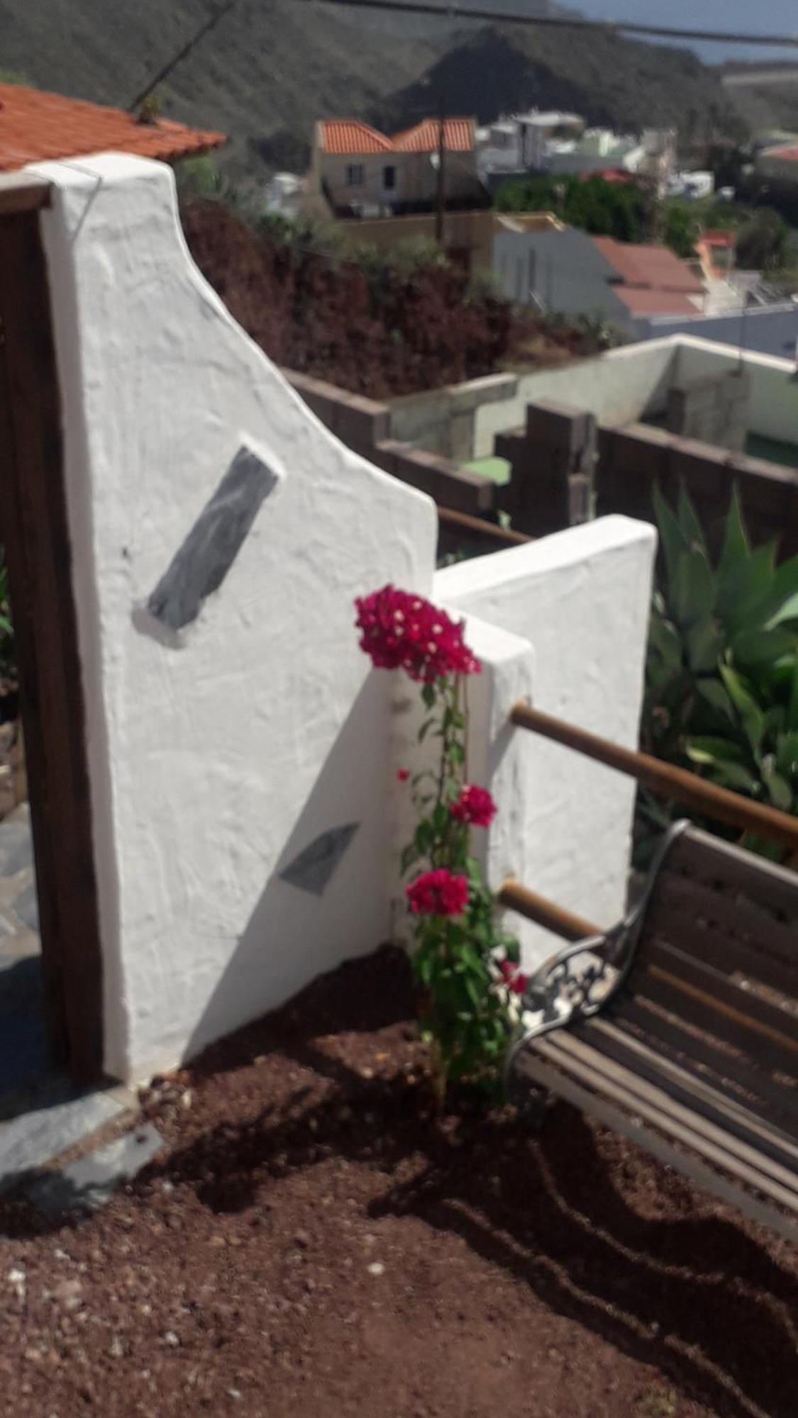 Nueva Casa Rural Piscina Privada Santa Cruz de Tenerife Eksteriør billede